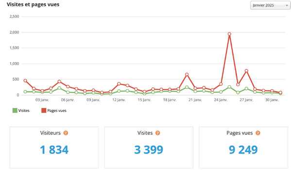 Statistiques visites janvier 2025 Statistiques visites janvier 2025