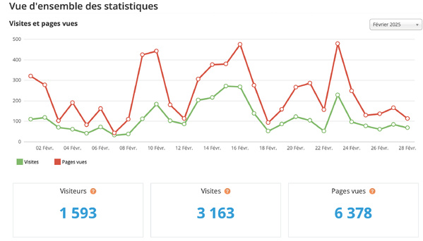 Statistiques visites février 2025 Statistiques visites février 2025
