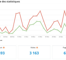 Statistiques visites février 2025