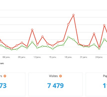 Statistiques visites janvier 2026